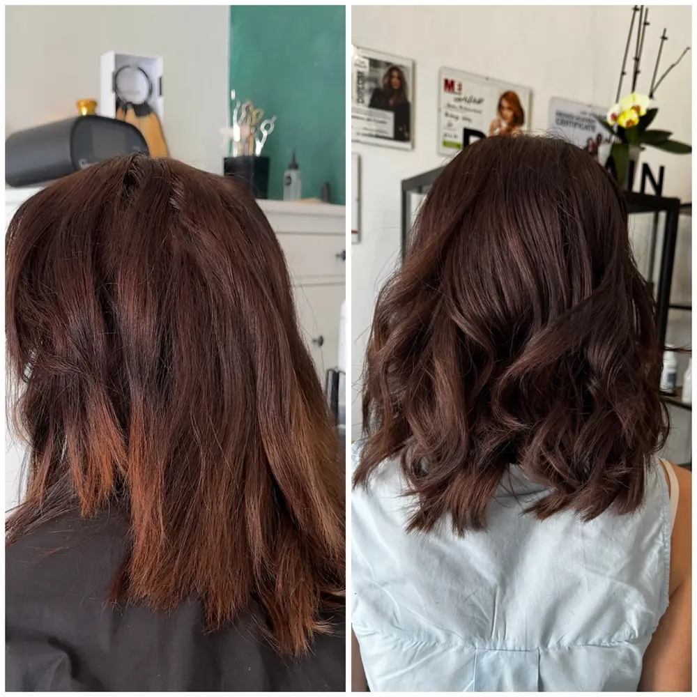 sampon redken